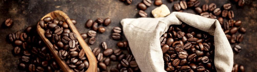 Coffea arabica e Coffea canephora: diferenças entre as espécies